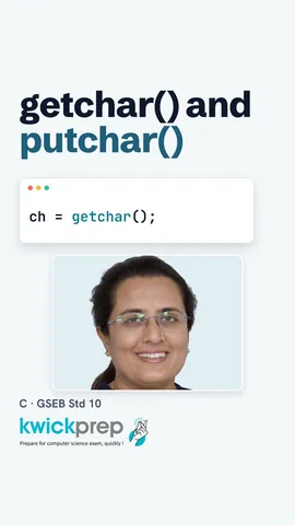 C code char ch; ch = getchar(); putchar(ch);