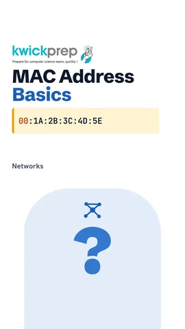 A table of the RJ-45 plug with 8 pins, the 48-bit MAC address and a Wi-Fi card as a wireless NIC.