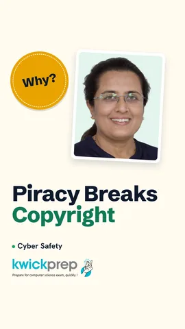 Types of infringement: piracy, code copying, fake brands, cloned inventions.